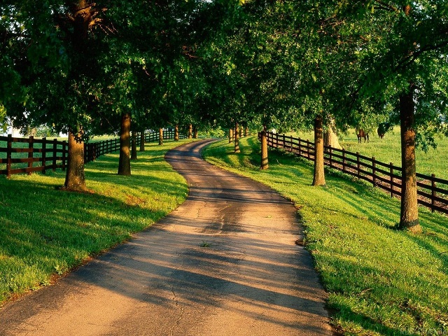 温暖的在线电话轰炸软件